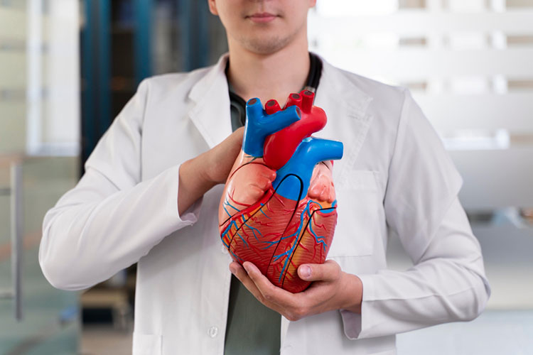 Prevenir enfermedades cardiovasculares